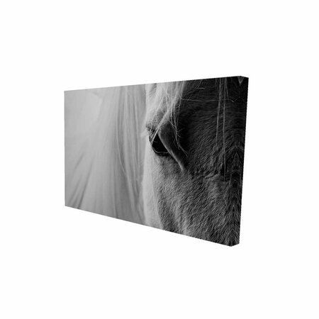 BEGIN HOME DECOR 12 x 18 in. The White Horse Eye-Print on Canvas 2080-1218-PH16